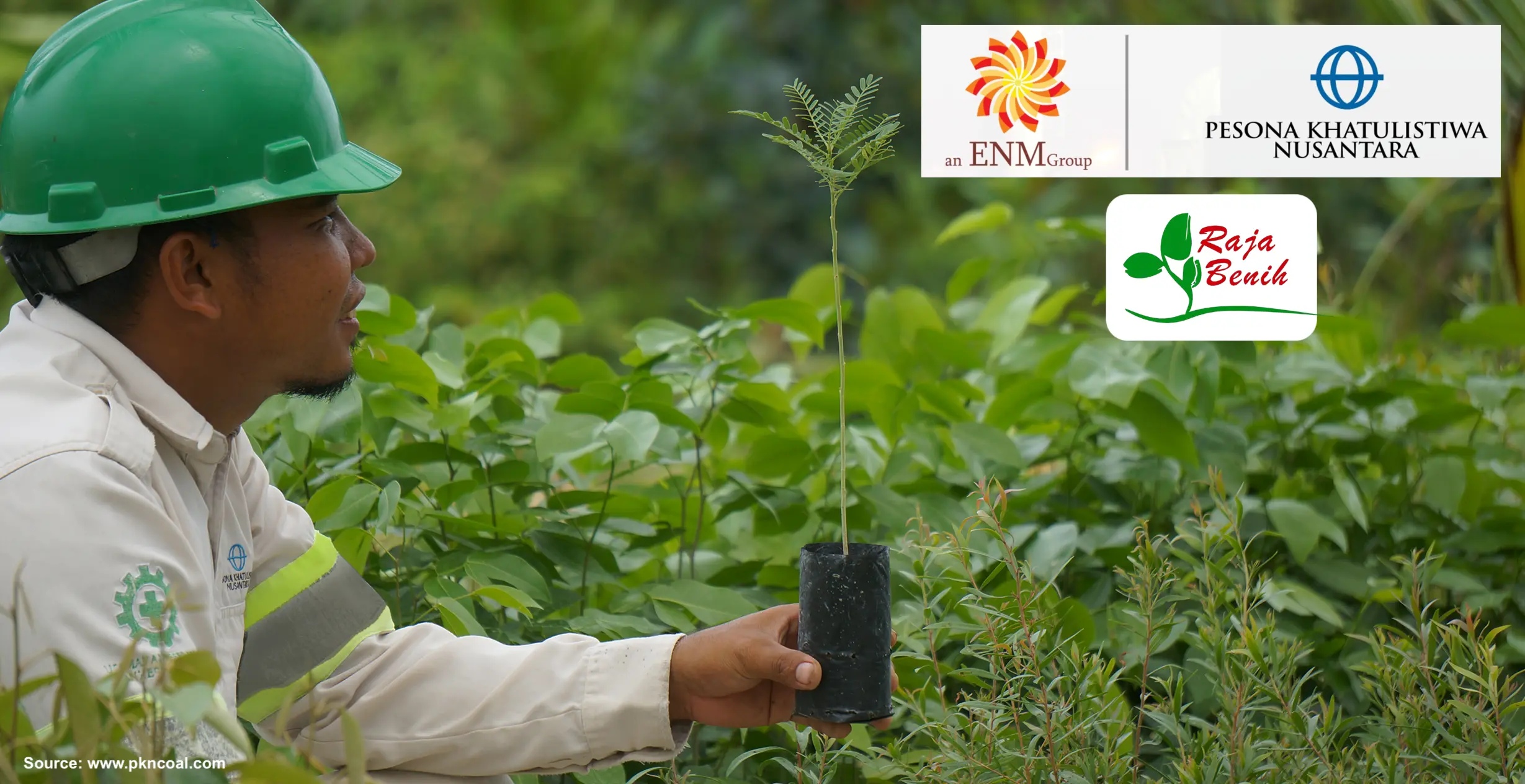 PT Pesona Khatulistiwa Nusantara (ENM Group) Gandeng Raja Benih dalam Reklamasi Tambang Batubara di Kalimantan Utara